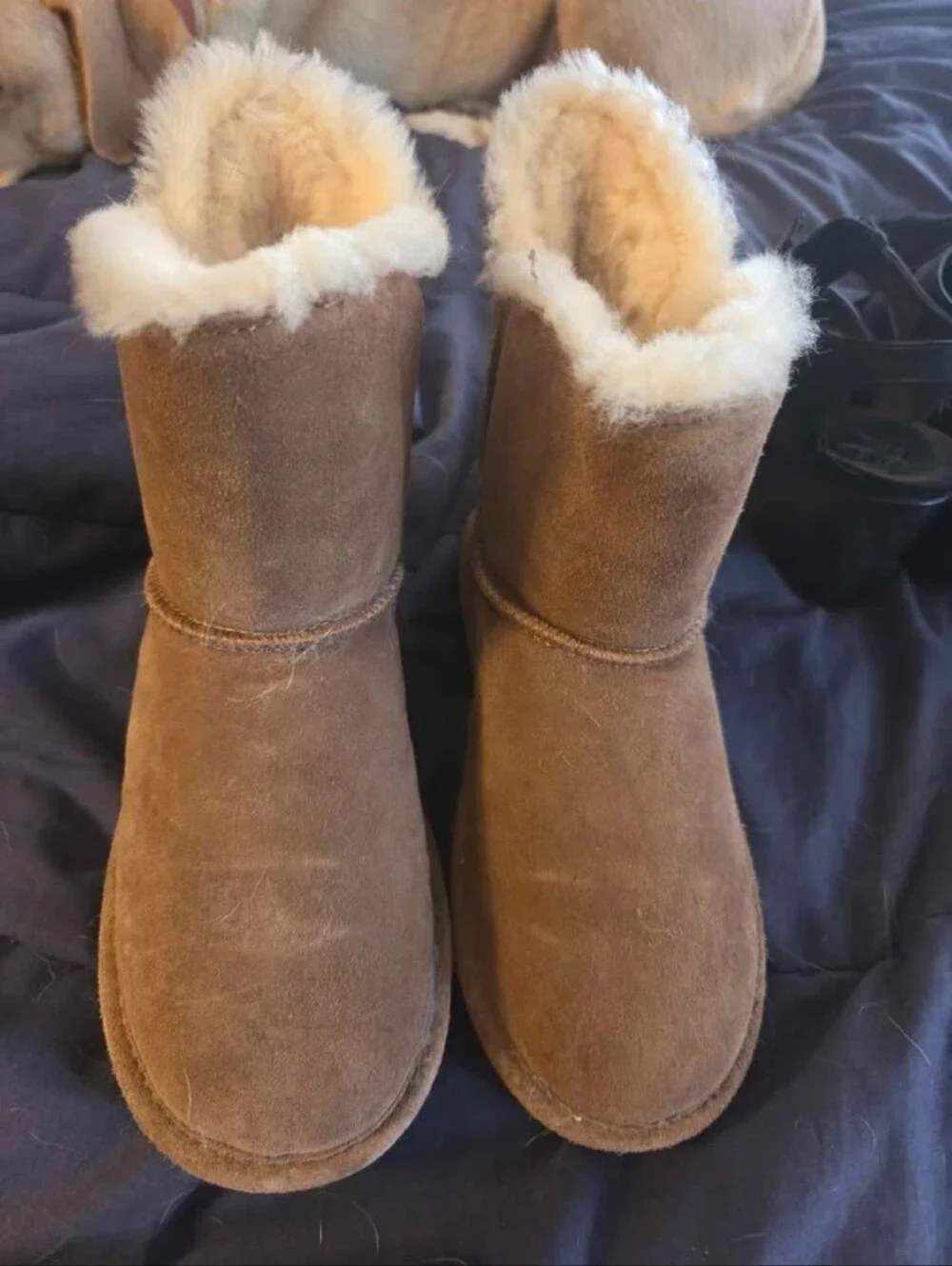 Womens Bearpaw Boots